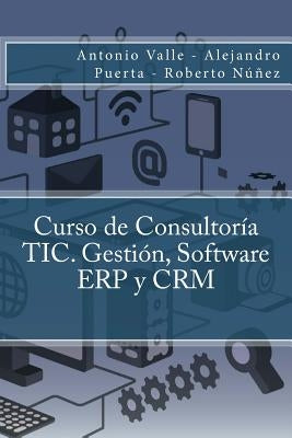 Curso de Consultoría TIC. Gestión, Software ERP y CRM by Puerta, Alejandro