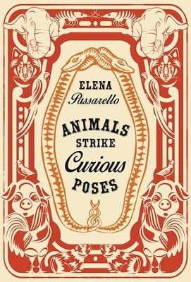 Animals Strike Curious Poses by Passarello, Elena