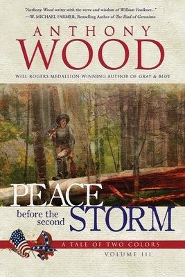 Peace Before the Second Storm: A Story of the Civil War Paperback Tiree Press