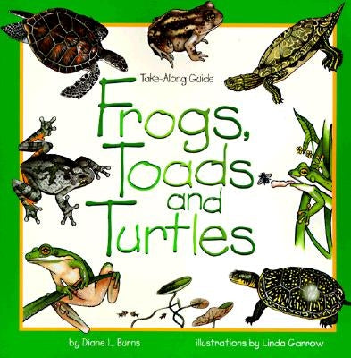 Cover of Cooper Square Pub's Frogs, Toads & Turtles: Take Along Guide, featuring colorful illustrations of amphibians and reptiles.