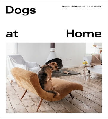 Dogs at Home by Cotterill, Marianne