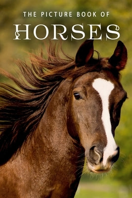 The Picture Book of Horses: A Gift Book for Alzheimer's Patients and Seniors with Dementia by Books, Sunny Street