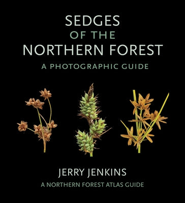 Photographic guide to northern forest sedges showing various sedge plants with detailed leaf and stem features.