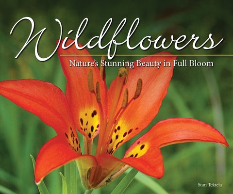 Wildflowers: Nature's Stunning Beauty on Display Paperback Adventure Publications