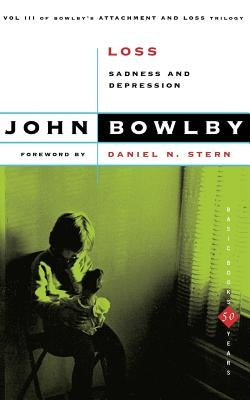 Loss: Sadness and Depression Paperback Basic Books