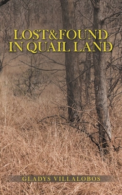 Lost&Found in Quail Land by Villalobos, Gladys