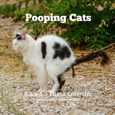 Pooping Cats 8.5 X 8.5 Calendar January 2021 -December 2021: Cats Cover Monthly Calendar with U.S./UK/ Canadian/Christian/Jewish/Muslim Holidays -Weir by Book Press, Poop