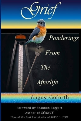 Grief: Ponderings From The Afterlife by Goforth, August