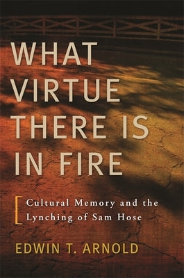 What Virtue There Is in Fire: Cultural Memory and the Lynching of Sam Hose Paperback University of Georgia Press