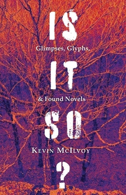 Is It So? Glimpses, Glyphs, & Found Novels Paperback Wtaw Press