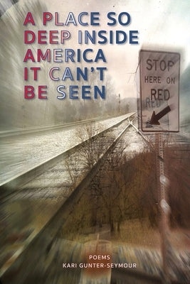 A Place So Deep Inside America It Can't Be Seen: Poems Sheila-Na-Gig Editions