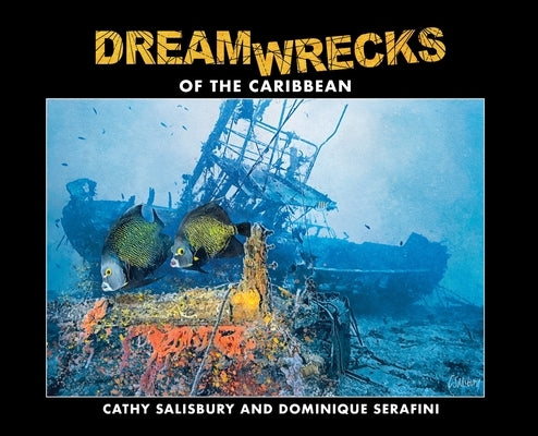 DreamWrecks of the Caribbean: Diving the best shipwrecks of the region by Salisbury, Cathy