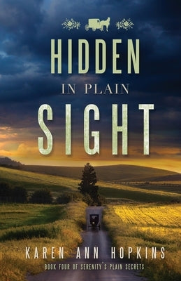 Hidden in Plain Sight Paperback Createspace Independent Publishing Platform