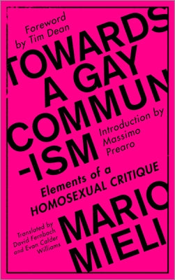 Towards a Gay Communism: Elements of a Homosexual Critique Paperback Pluto Press (UK)
