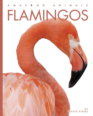 Flamingos by Riggs, Kate