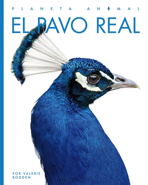 El Pavo Real by Bodden, Valerie