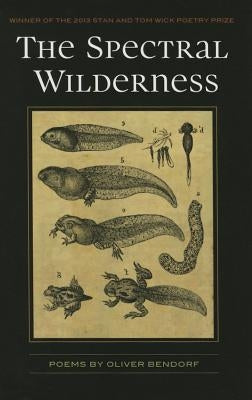 The Spectral Wilderness Paperback Kent State University Press