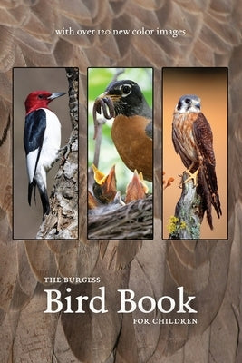The Burgess Bird Book with new color images Paperback Living Book Press