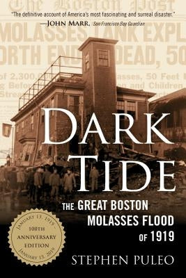 Paperback of Dark Tide: The Great Boston Molasses Flood of 1919 by Beacon Press, showing the book cover with dark-themed artwork.