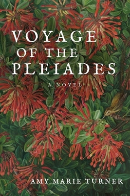 Voyage of the Pleiades Paperback Fauve Press