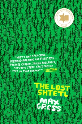 The Lost Shtetl by Gross, Max