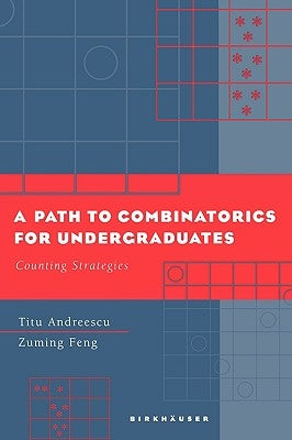 A Path to Combinatorics for Undergraduates: Counting Strategies by Andreescu, Titu