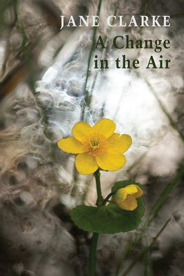 A Change in the Air by Clarke, Jane
