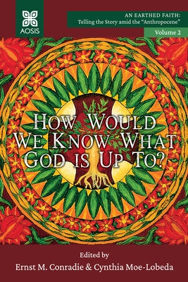 How Would we Know what God is up to? Paperback Pickwick Publications