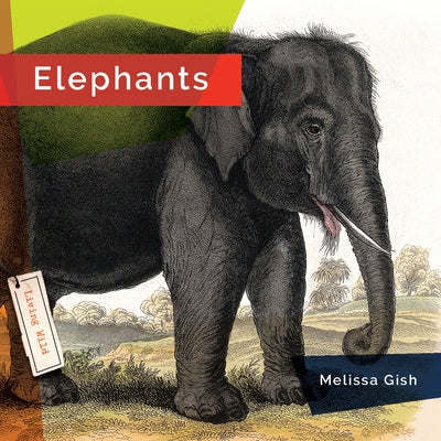 Elephants by Gish, Melissa