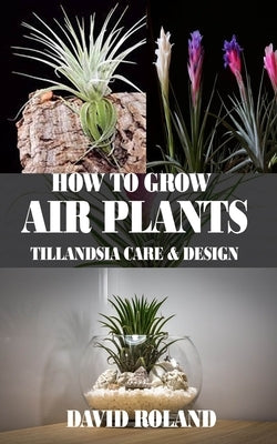 How to Grow Air Plants: Tillandsia Care and Design Paperback Independently Published