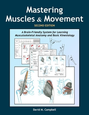 Mastering Muscles and Movement: A Brain-Friendly System for Learning Musculoskeletal Anatomy and Basic Kinesiology Paperback Bodylight Books