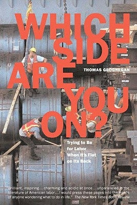 Which Side Are You On?: Trying to Be for Labor When It's Flat on Its Back Paperback New Press