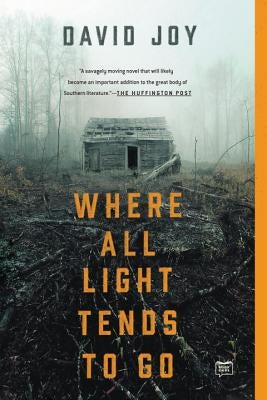Paperback of "Where All Light Tends to Go" by G.P. Putnam's Sons, showing the book cover with title and author text.