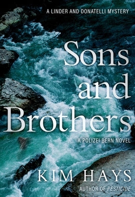Sons and Brothers Paperback Seventh Street Books