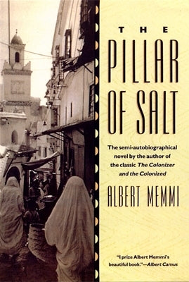 The Pillar of Salt Paperback Beacon Press