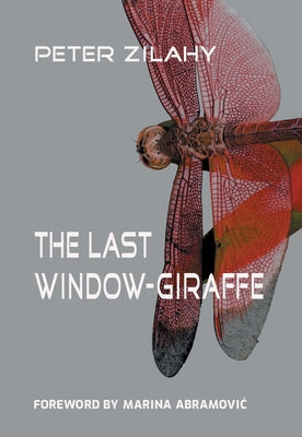 The Last Window-Giraffe Paperback Sandorf Passage