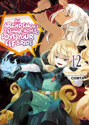 An Archdemon's Dilemma: How to Love Your Elf Bride: Volume 12 by Teshima, Fuminori