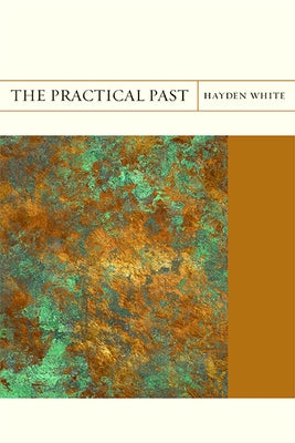 The Practical Past: Volume 17 Paperback Northwestern University Press