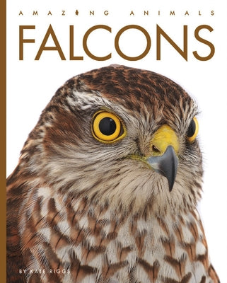 Falcons Paperback Creative Paperbacks