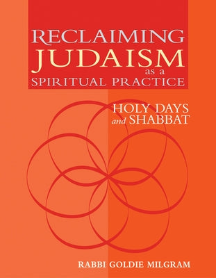 Reclaiming Judaism as a Spiritual Practice: Holy Days and Shabbat Paperback Jewish Lights Publishing