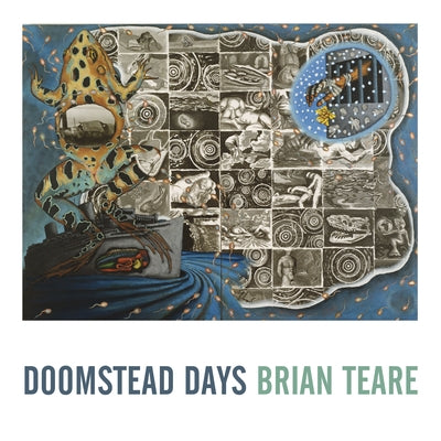 Doomstead Days by Teare, Brian