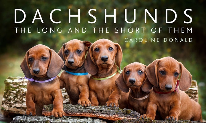 Dachshunds: The Long and the Short of Them by Donald, Caroline