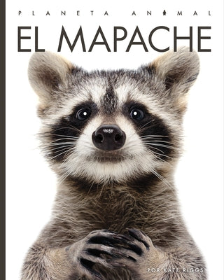 El Mapache by Bodden, Valerie