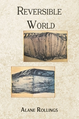 Reversible World Paperback Austin Macauley