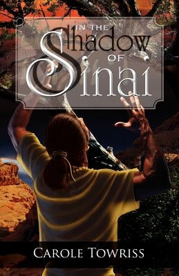 In the Shadow of Sinai Paperback Deward Publishing