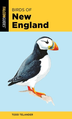 Illustration of various birds of New England from the Falcon Press Publishing book "Birds of New England."