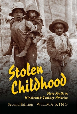 Stolen Childhood: Slave Youth in Nineteenth-Century America Paperback Indiana University Press