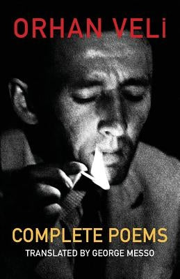 The Complete Poems Paperback Shearsman Books