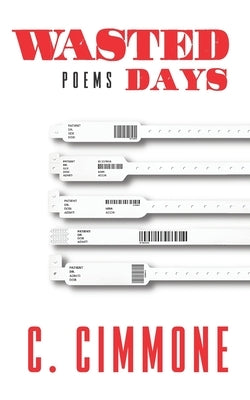 Wasted Days Paperback Independently Published