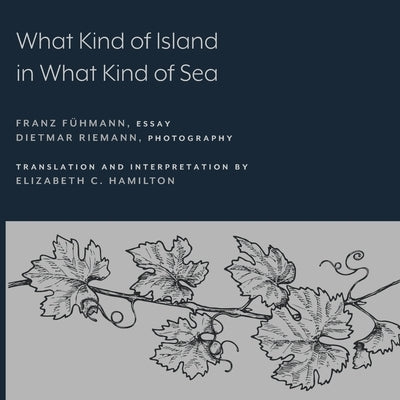 What Kind of Island in What Kind of Sea? Paperback Lever Press
